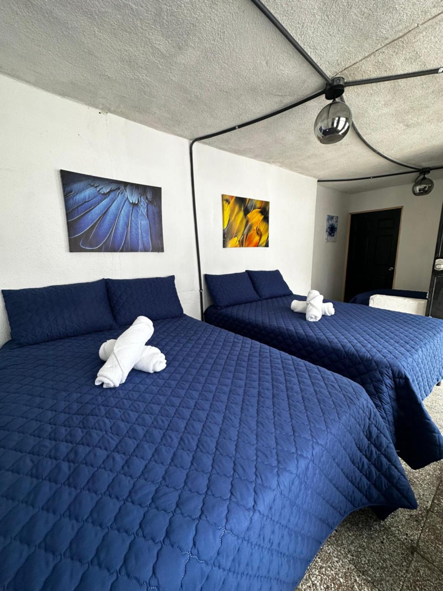 Casa Magnolia Hotel Guatemala City Exterior photo